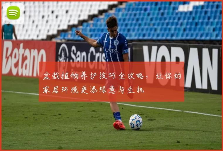 盆栽植物养护技巧全攻略，让你的家居环境更添绿意与生机