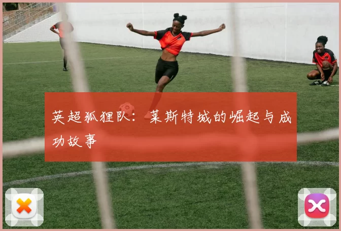 英超狐狸队：莱斯特城的崛起与成功故事