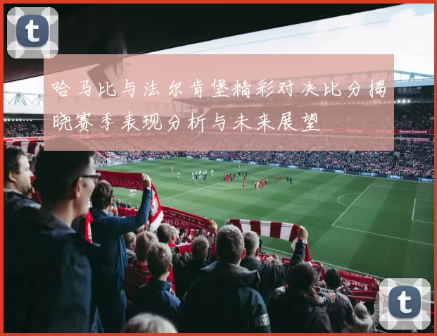 哈马比与法尔肯堡精彩对决比分揭晓赛季表现分析与未来展望
