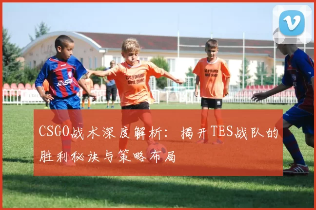 CSGO战术深度解析：揭开TES战队的胜利秘诀与策略布局