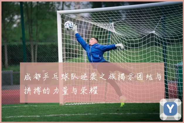 成都乒乓球队逆袭之旅揭示团结与拼搏的力量与荣耀