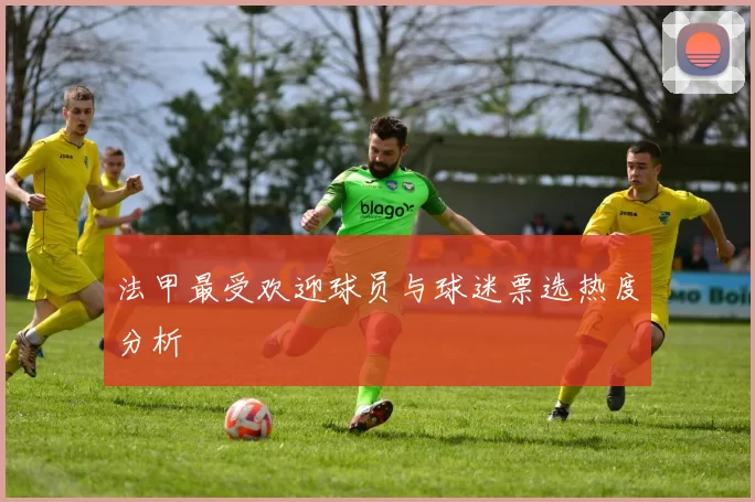 法甲最受欢迎球员与球迷票选热度分析