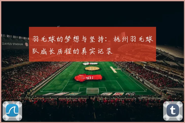 羽毛球的梦想与坚持：杭州羽毛球队成长历程的真实记录