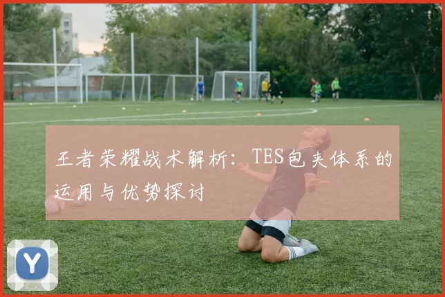 王者荣耀战术解析：TES包夹体系的运用与优势探讨