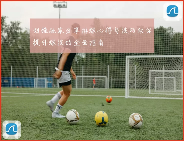 刘强独家分享排球心得与技巧助你提升球技的全面指南