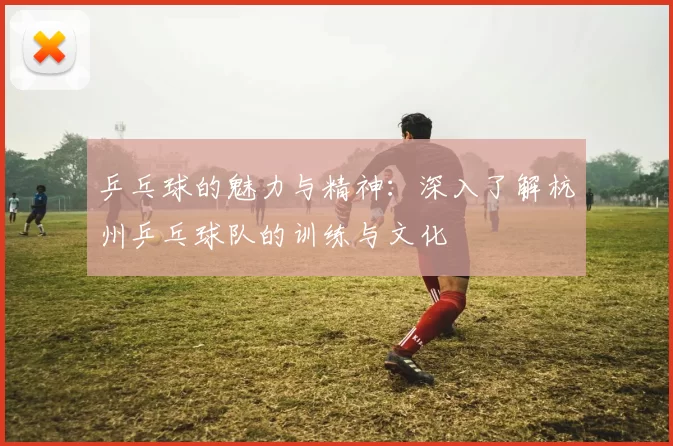 乒乓球的魅力与精神：深入了解杭州乒乓球队的训练与文化