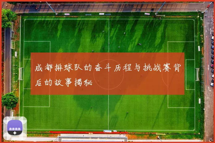 成都排球队的奋斗历程与挑战赛背后的故事揭秘