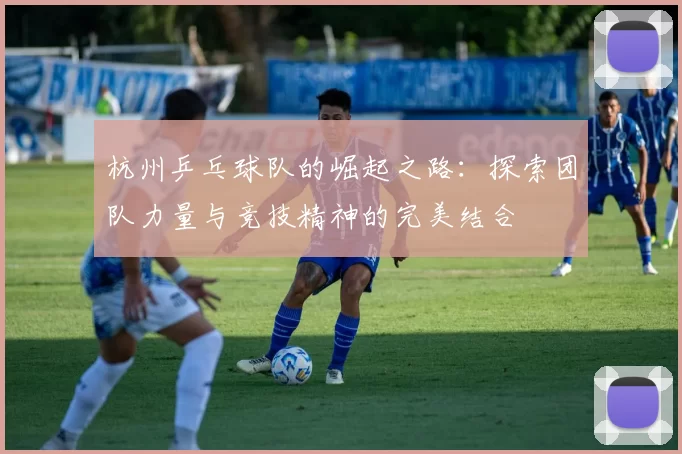 杭州乒乓球队的崛起之路：探索团队力量与竞技精神的完美结合