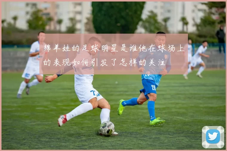 绵羊姓的足球明星是谁他在球场上的表现如何引发了怎样的关注