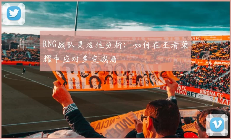 RNG战队灵活性分析：如何在王者荣耀中应对多变战局
