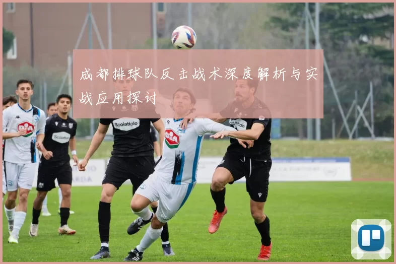 成都排球队反击战术深度解析与实战应用探讨