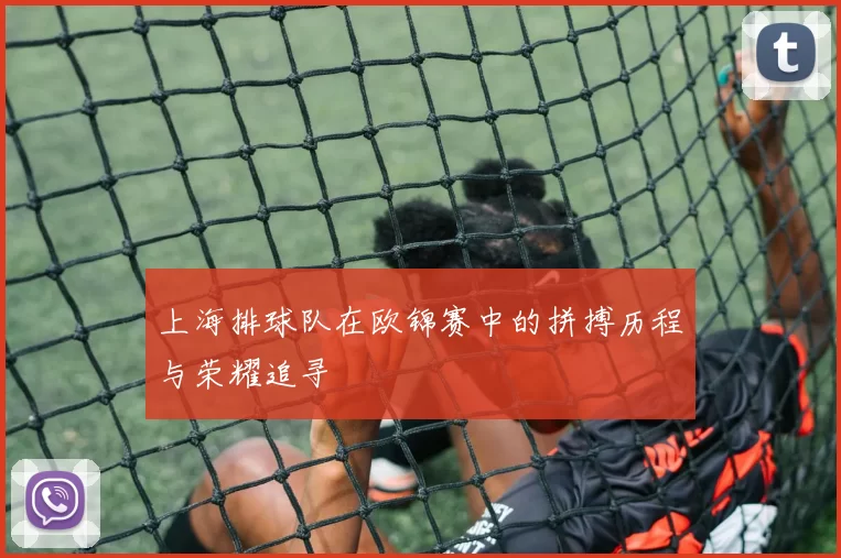 上海排球队在欧锦赛中的拼搏历程与荣耀追寻