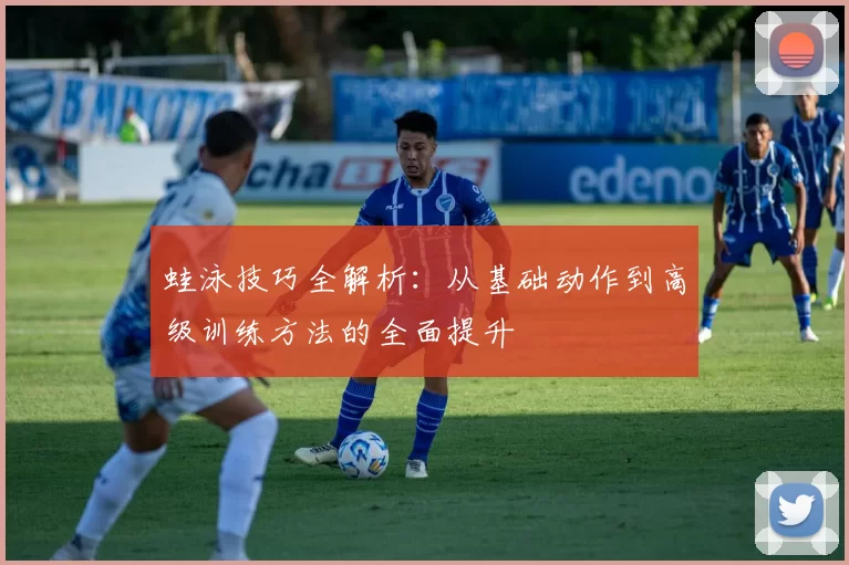 蛙泳技巧全解析：从基础动作到高级训练方法的全面提升