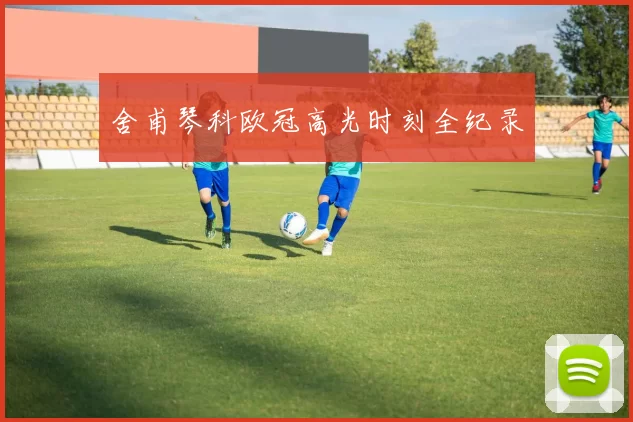 舍甫琴科欧冠高光时刻全纪录