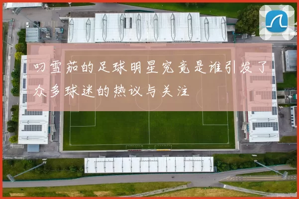 叼雪茄的足球明星究竟是谁引发了众多球迷的热议与关注