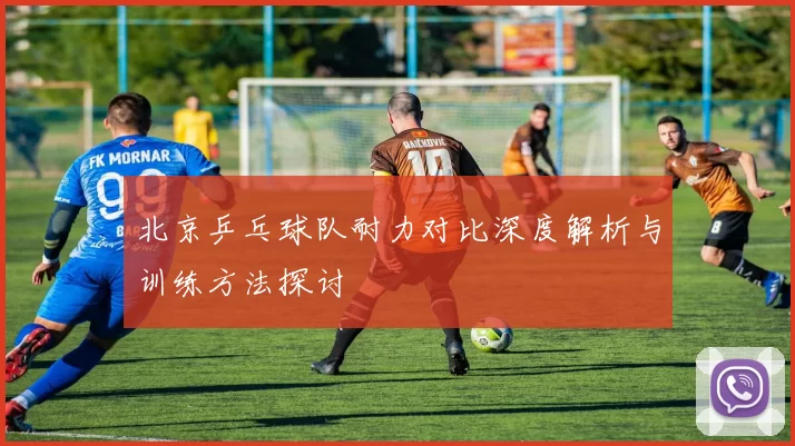 北京乒乓球队耐力对比深度解析与训练方法探讨