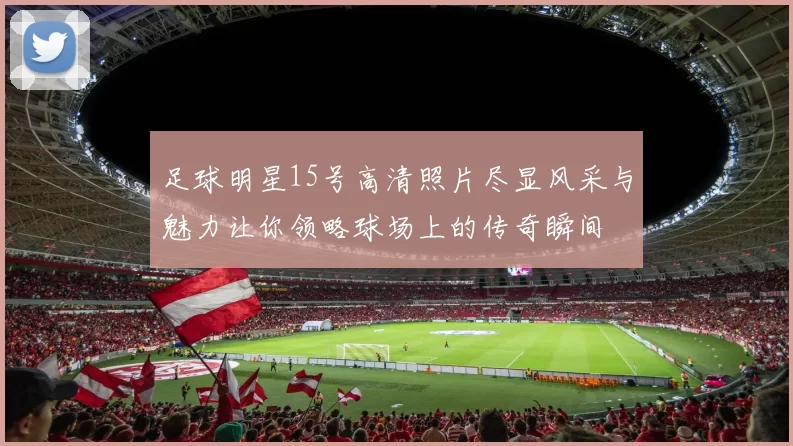 足球明星15号高清照片尽显风采与魅力让你领略球场上的传奇瞬间