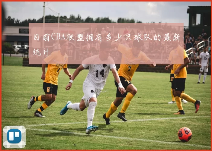 目前CBA联盟拥有多少只球队的最新统计