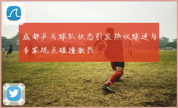成都乒乓球队状态引发热议球迷与专家观点碰撞激烈