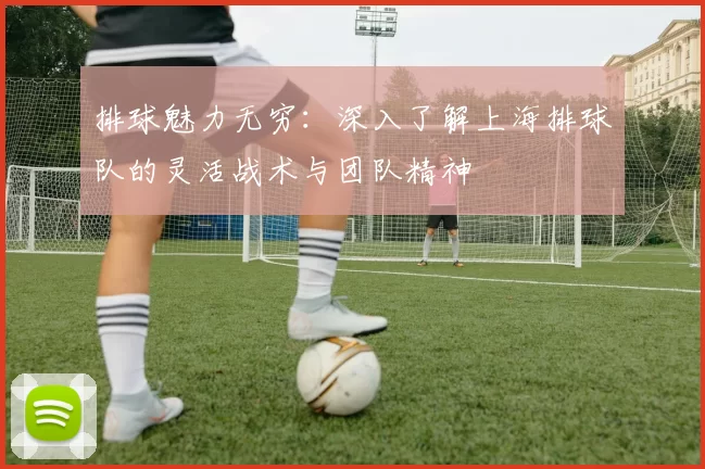 排球魅力无穷：深入了解上海排球队的灵活战术与团队精神