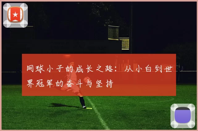 网球小子的成长之路：从小白到世界冠军的奋斗与坚持