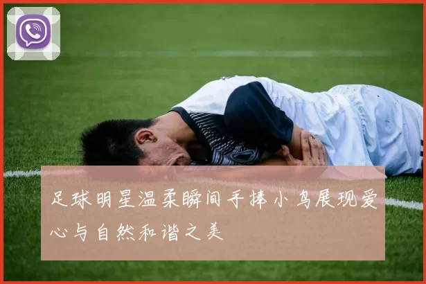 足球明星温柔瞬间手捧小鸟展现爱心与自然和谐之美